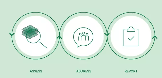 Diagram showing icons relating to 'assess' , 'address' and 'report' as explained in the strategy.