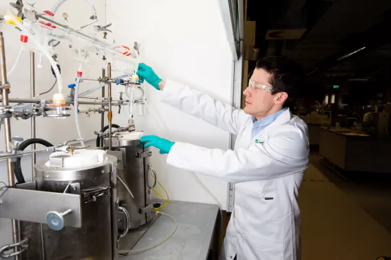 Professor Hugh Geaney working on an experiment in the Battery lab