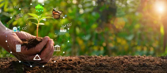 A hand holding soil with graphics circulating the hand