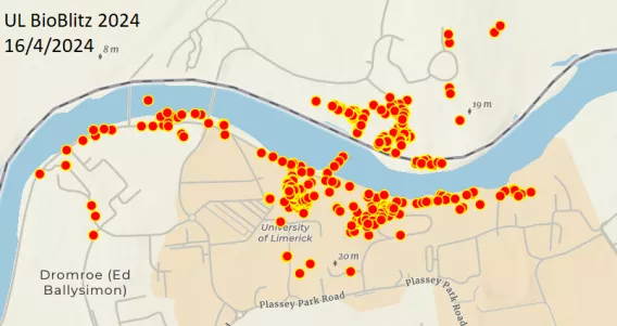 UL Campus map for bioblitz 2024