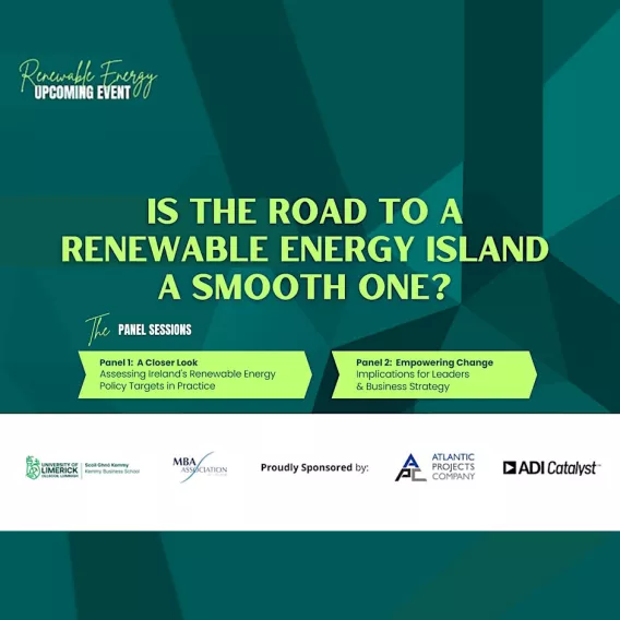 Is the Road to a Renewable Energy Island a Smooth One?