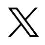 X Icon