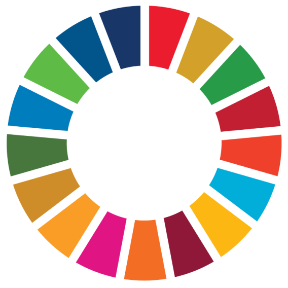 SDG wheel graphic