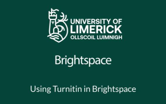 Using Turnitin in Brightspace