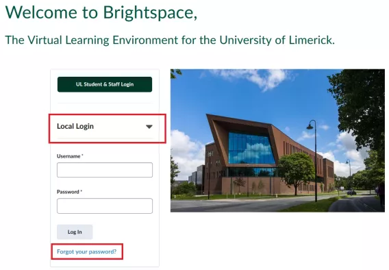 Brightspace - Local Login