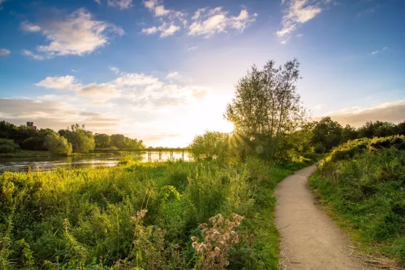 Path on the right of a river with blue skies and green bushes on the left