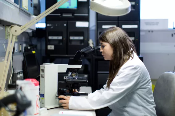 Student using microscope