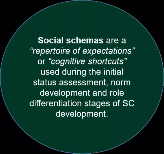 A green circle containing white text explaining that Social schemas are a 'repertoire of expectations' or 'cognitive shortcuts'.