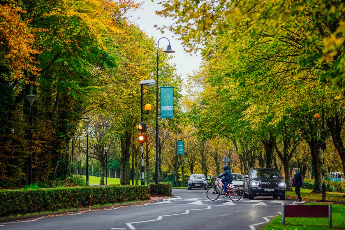 Main entrance drive