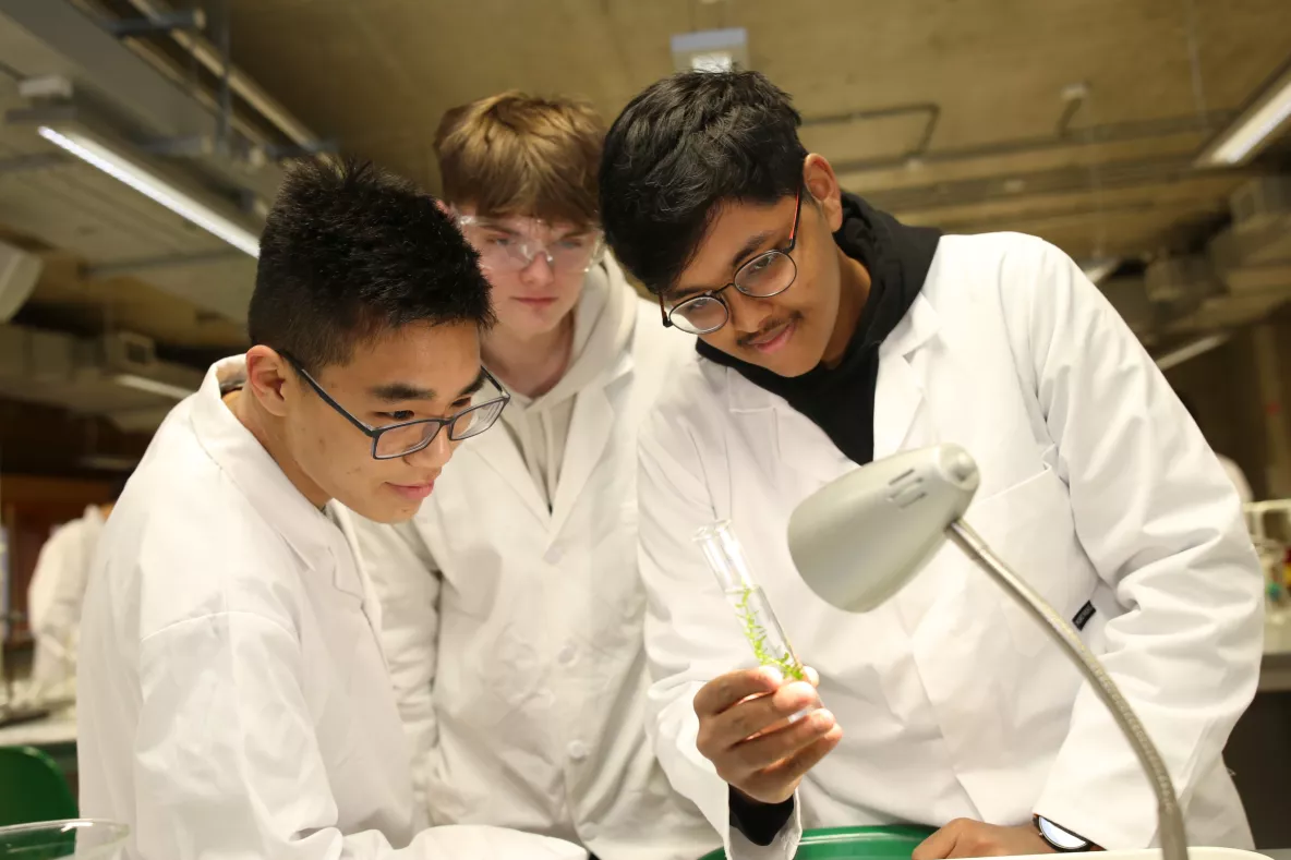 A picture of three leaving cert students performing an experiment in UL