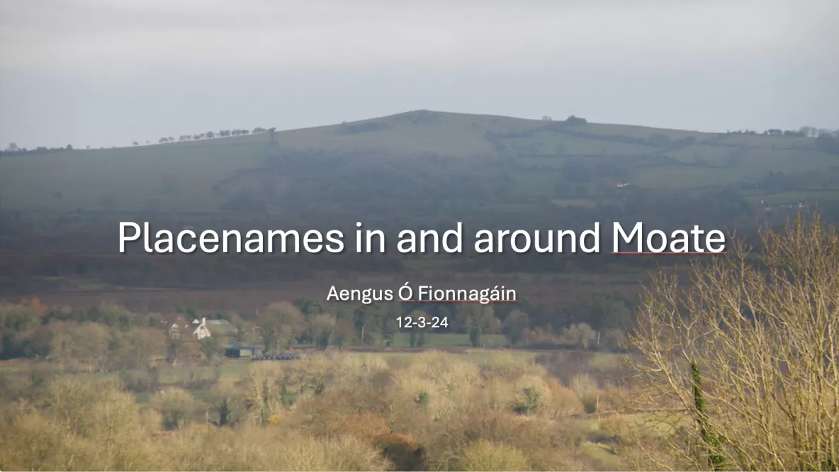 Cover for Placenames in and around Moate