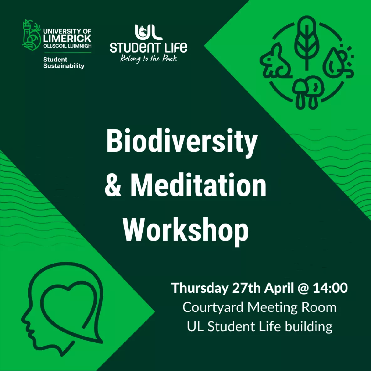 Promotional poster for the biodiversity and meditation workshop