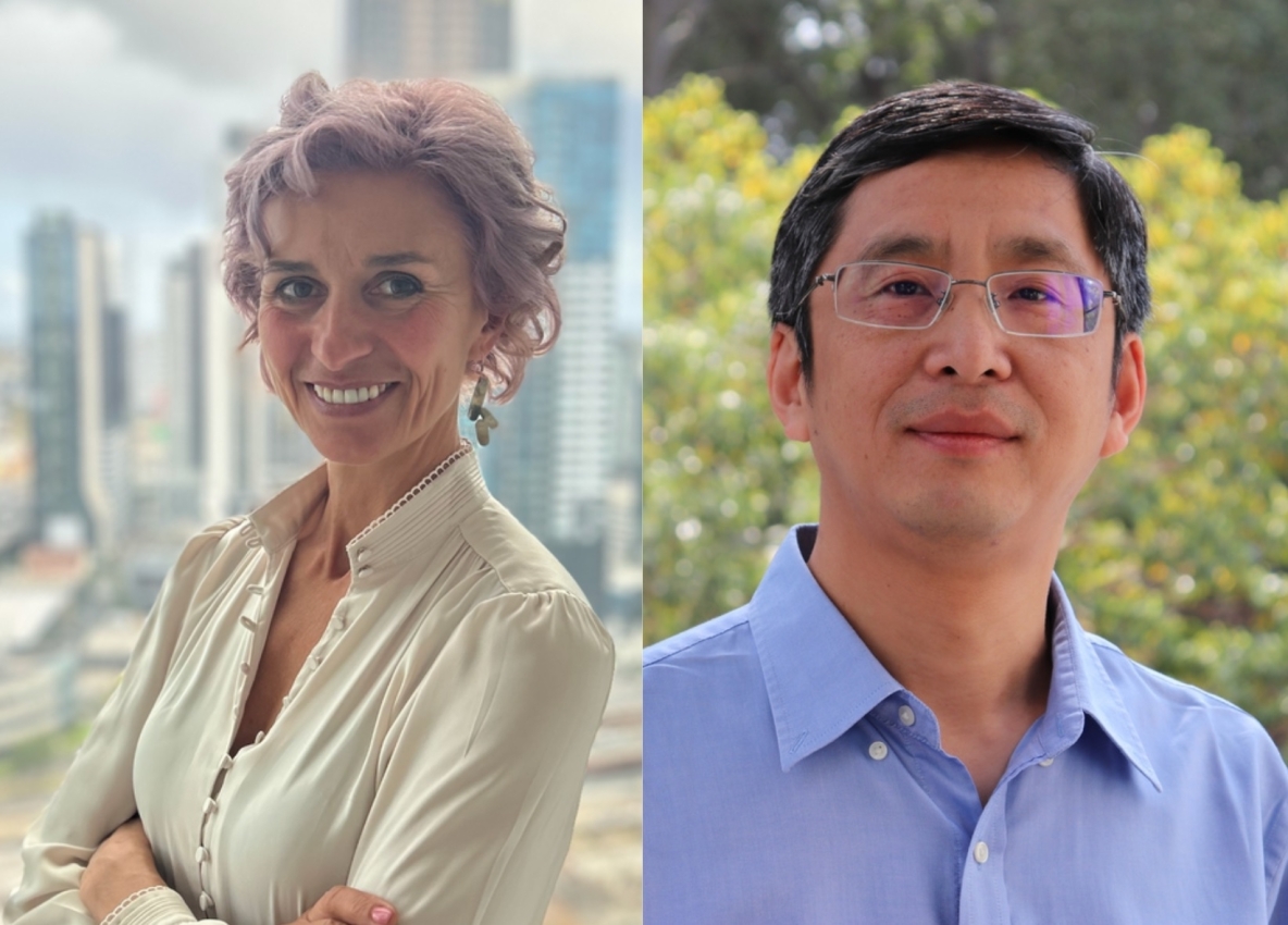 The new Parnas Fellows at Lero Professor Daniela Damian and Professor Hongyu Zhang 