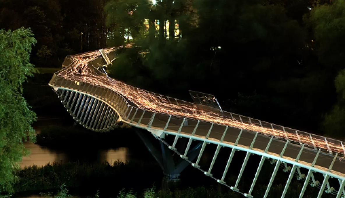 Living Bridge at Night