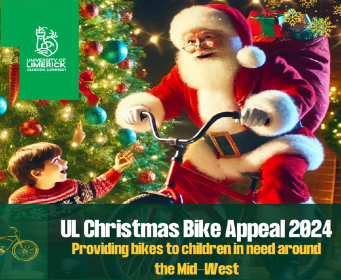 xmas bike appeal image