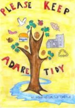 Adare Tourist Ambassador Project (2017)