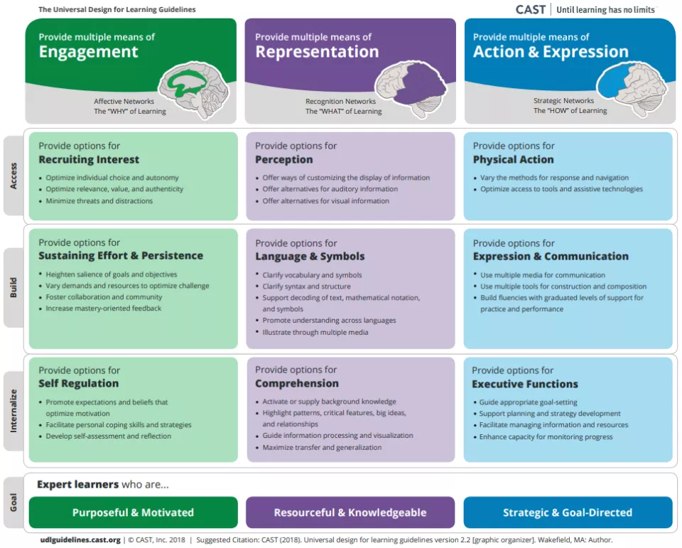 The UDL Guidelines graphic organiser by CAST, an accessible version is available at available at udlguidelines.cast.org/