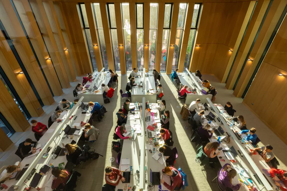 Glucksman library students working in study area ul campus