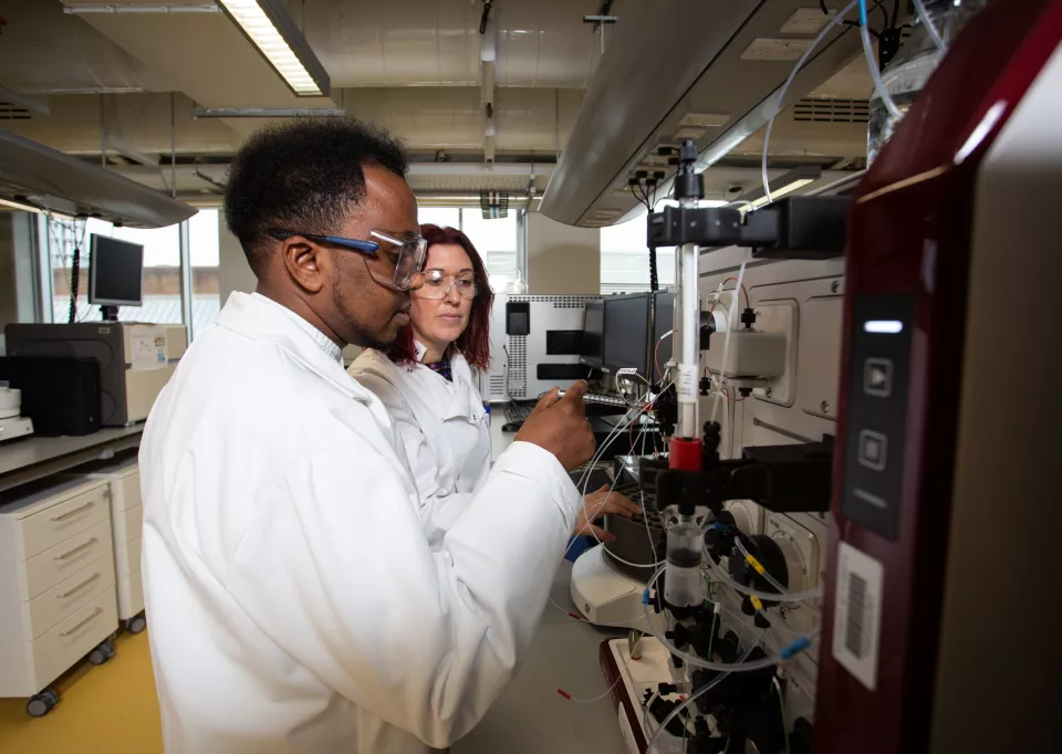 Students in a lab