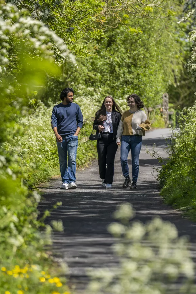 three students walking through forest