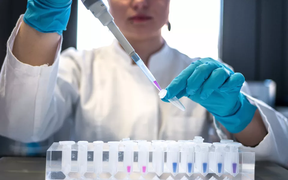 close up of gloved hands putting liquid into test tube