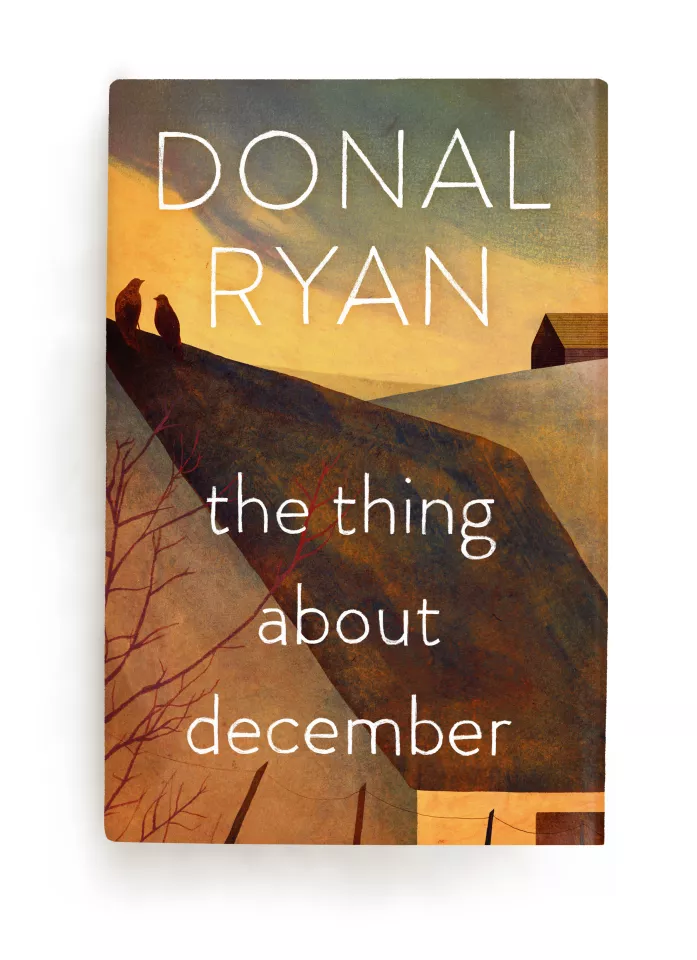 The thing about December - Donal ryan