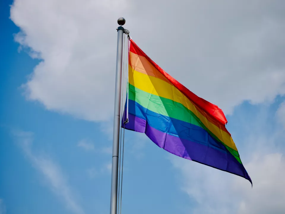 PRIDE FLAG