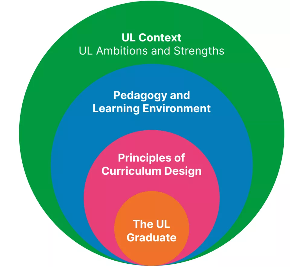 The four principles of the ICDF. See tiles below for details