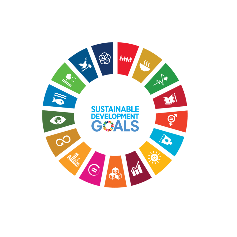 The 17 UN SDG symbols in a circle, surrounding the words Sustainable Development Goals