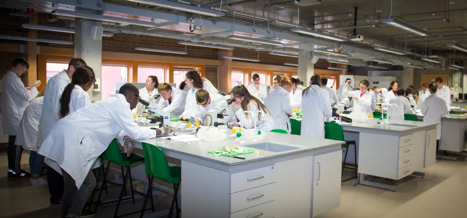 A large group of students in a laboratory