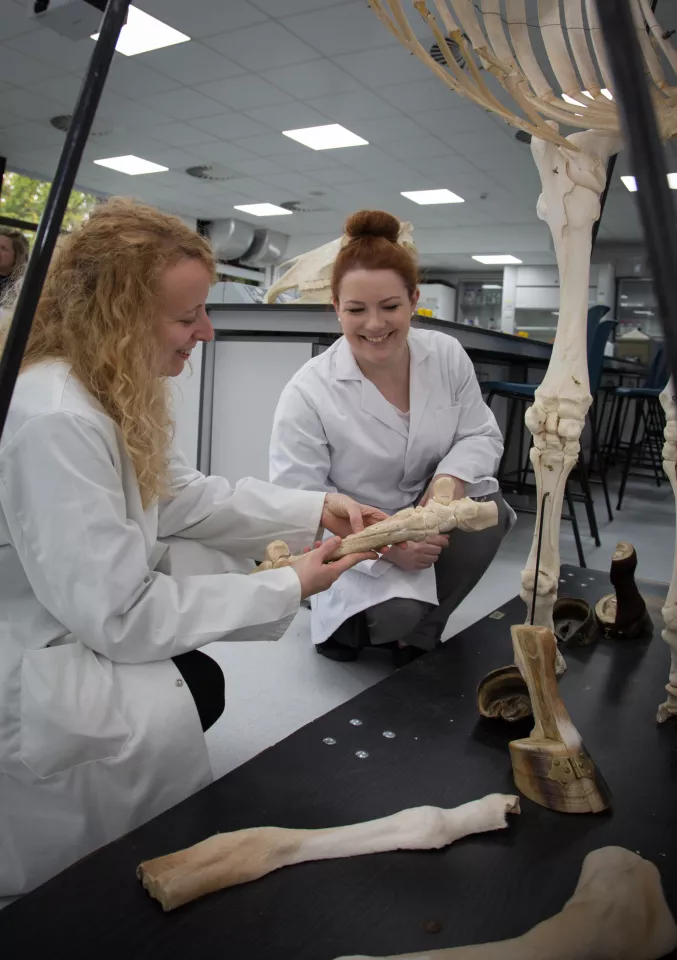 Two students in a lab looking at a skeleton