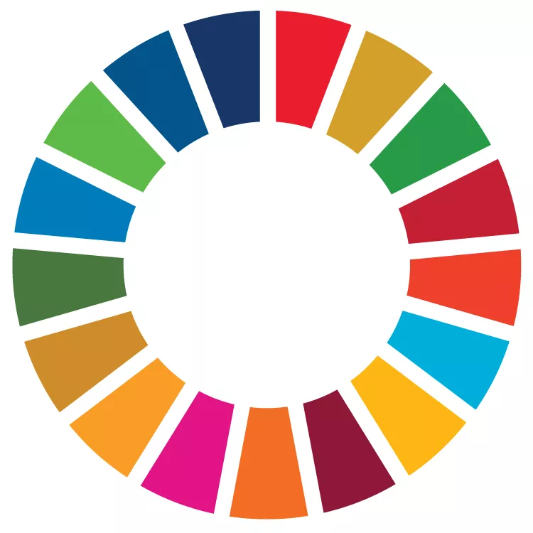 SDG Wheel for Web