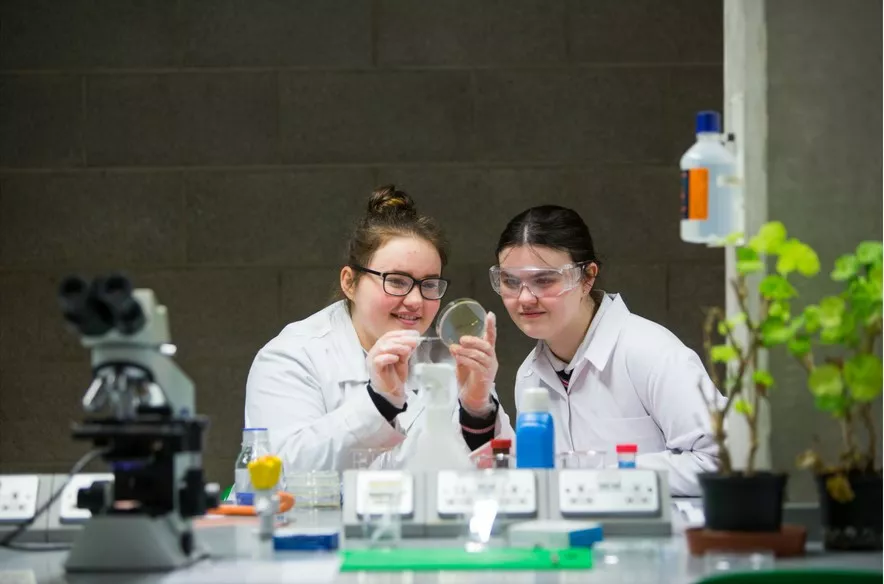 Two students looking at Bioscience experiment