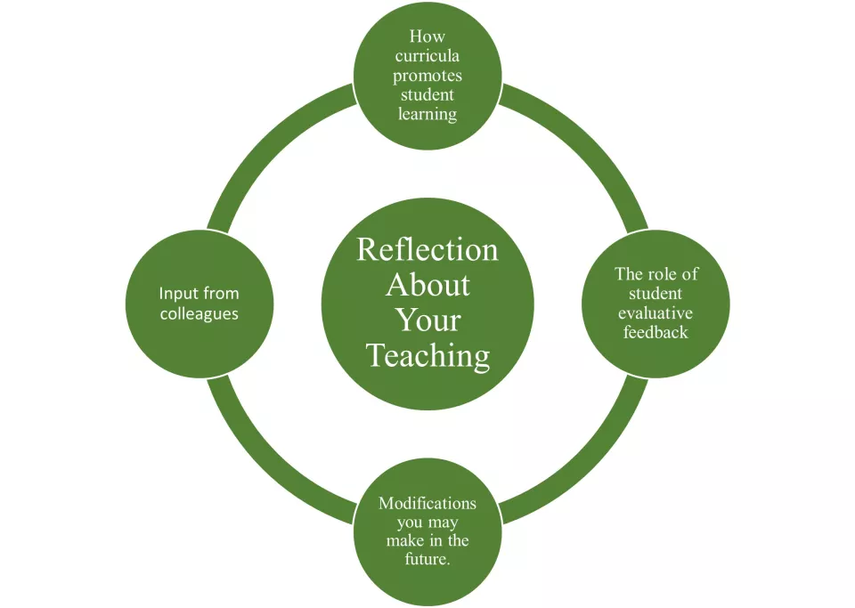 Image naming areas to reflect about your teaching, full text in document attached