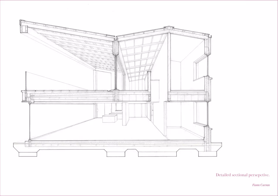 Detailed sectional perspective. Fionn Curran.