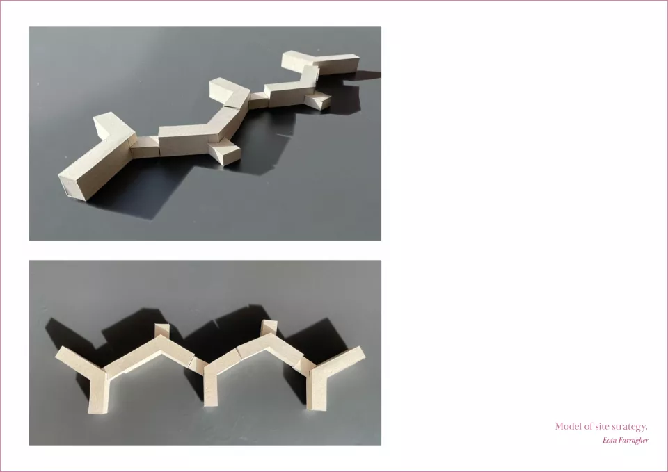 Model of site strategy. Eoin Farragher.