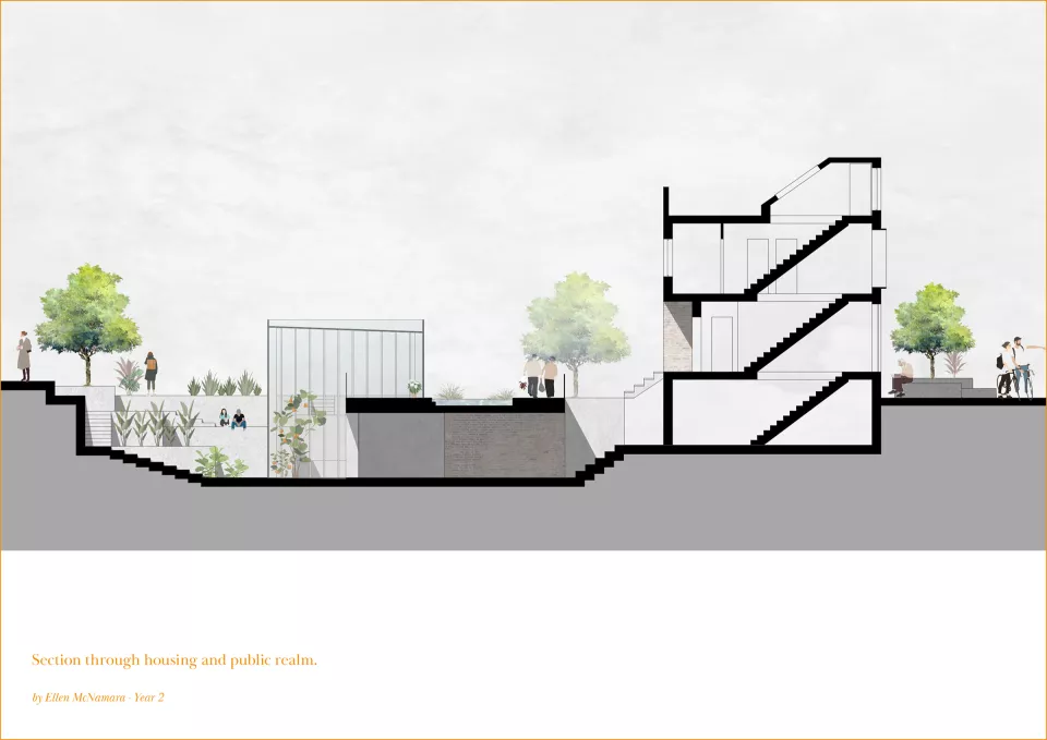 Section through housing and public realm. Ellen McNamara.