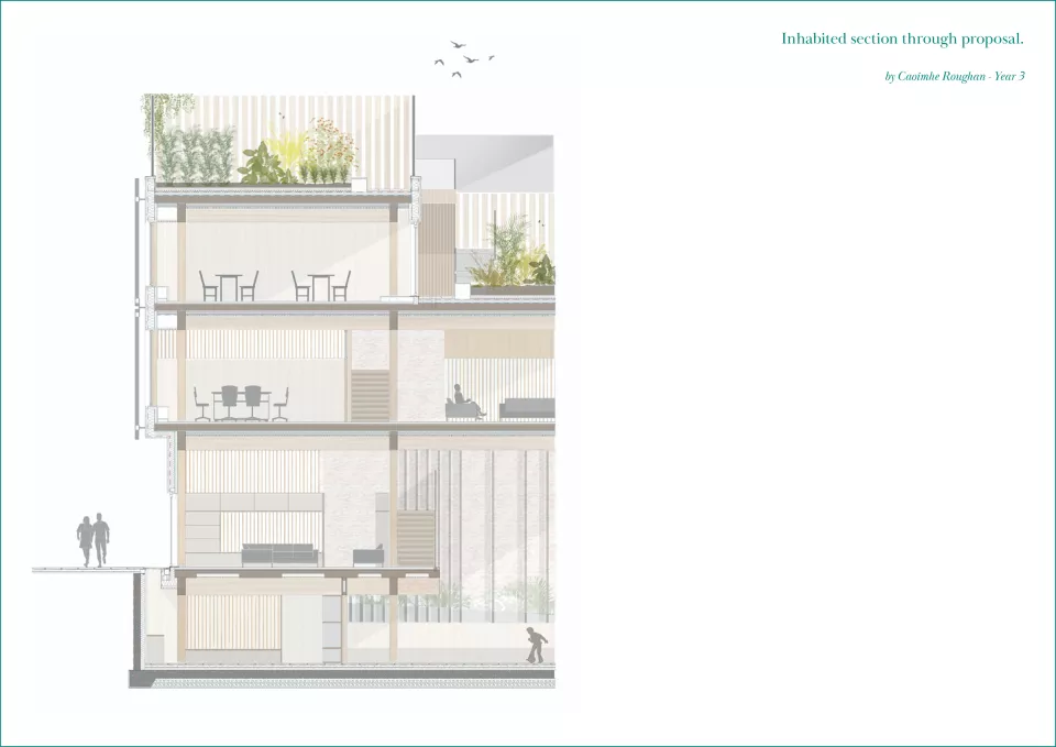 Inhabited section through proposal. Caoimhe Roughan.