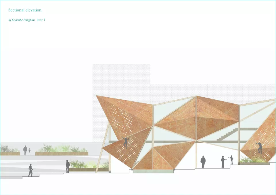 Sectional elevation. Caoimhe Roughan.