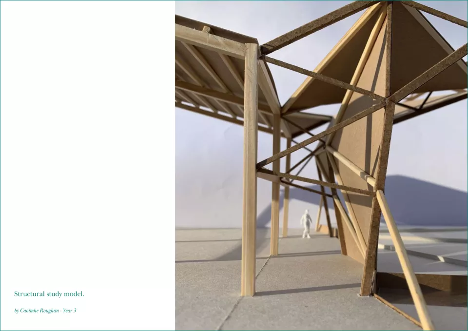 Structural study model. Caoimhe Roughan.