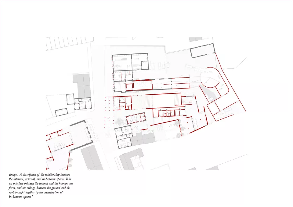 David McEvoy’s archive is housed within a compact and discreet form of interlocking timber beams. levels and surfaces.